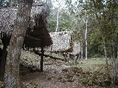 Dos Pilas; Guatemala Trips