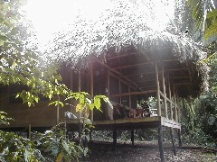 Chiminos Island Lodge; Guatemala Trips; Thatched Hut