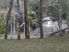 Guatemala Trips; El Ceibal; archeology;