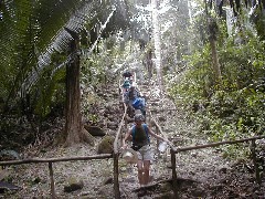 Guatemala Trips; El Ceibal; Elaine Wray