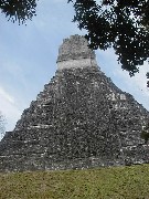 Guatemala Tikal Trips