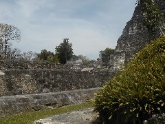 Guatemala Tikal Trips