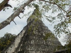 Guatemala Tikal Trips
