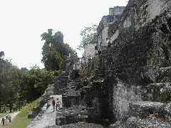Guatemala Tikal Trips