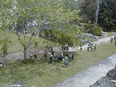Guatemala Tikal Trips