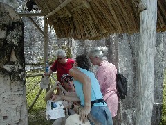 Guatemala Tikal Trips; Stan Guenter; Ruth Bennett McDougal Dorrough; Norma Thurston; Elaine Schele