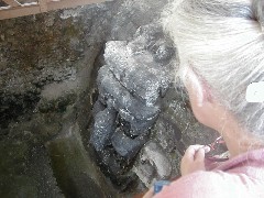 Guatemala Tikal Trips; archeology;