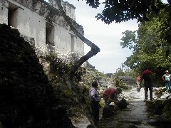 Guatemala Tikal Trips