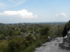 Guatemala Tikal Trips