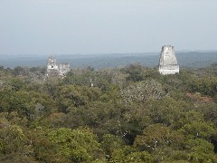 Guatemala Tikal Trips