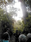 Guatemala Tikal Trips; Stan Guenter;