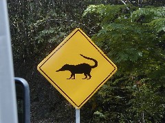 Guatemala Tikal Trips 
sign rodent