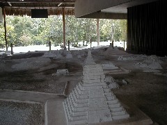 Guatemala Tikal Trips