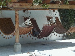 Antigua Guatemala trips; Ruth Dorrough; hammock