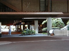 Trips Hawaii Hilo airport