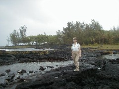 Trips Hawaii Arnott s Lodge Ocean Beach