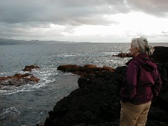 Ruth Bennett McDougal Dorrough; Family Trips Hawaii Arnott s Lodge Ocean