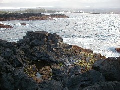 Family Trips Hawaii Arnott s Lodge Ocean