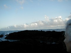Family Trips Hawaii Arnott s Lodge Ocean