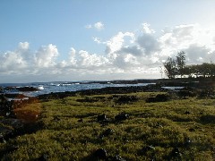 Family Trips Hawaii Arnott s Lodge Ocean
