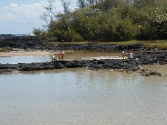 Family Trips Hawaii Arnott s Lodge Ocean beach