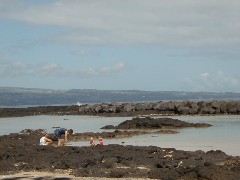 Family Trips Hawaii Arnott s Lodge Ocean beach