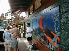 Trips Hawaii Volcano Tour