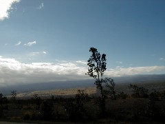 Trips Hawaii Volcano Tour