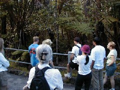 Trips Hawaii Volcano Tour