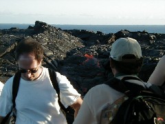 Trips Hawaii Volcano Tour