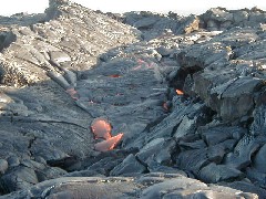 Trips Hawaii Arnott s Lodge Volcano Tour