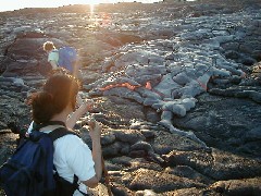 Trips Hawaii Volcano Tour
