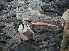 Ruth Bennett McDougal Dorrough; Trips Hawaii Volcano Tour