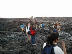 Trips Hawaii Volcano Tour