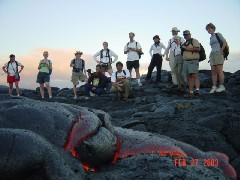 Trips Hawaii Volcano Tour