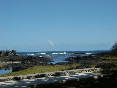 Hawaii Trips ocean beach;