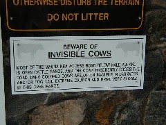 Trips Hawaii Arnott s Lodge Mauna Kea Tour invisible cows