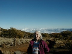 Ruth Bennett McDougal Dorrough; Trips Hawaii Arnott s Lodge Mauna Kea Tour
