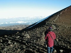 Trips Hawaii Arnott s Lodge Mauna Kea Tour