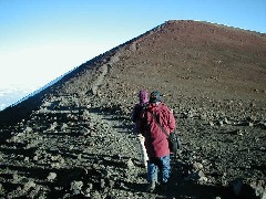 Trips Hawaii Arnott s Lodge Mauna Kea Tour