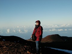 Trips Hawaii Arnott s Lodge Mauna Kea Tour