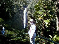 Dan Dorrough; Trips Hawaii Valleys Waterfalls tour