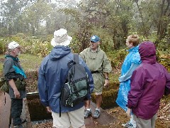 Trips Hawaii Valleys Waterfalls tour