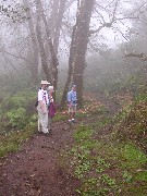 Dan Dorrough; Metti Irene Dahl; Trips Hawaii Waterfalls tour