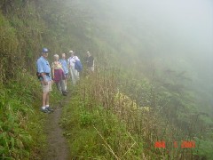 Trips Hawaii Valleys Waterfalls tour