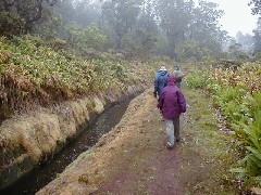 Trips Hawaii Valleys Waterfalls tour