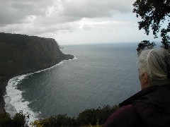 Ruth Bennett McDougal Dorrough; Trips Hawaii Waterfalls tour