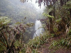 Trips Hawaii Waterfalls tour