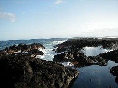 Hawaii Trips ocean beach;