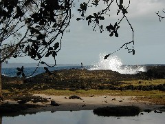 Hawaii Trips ocean beach